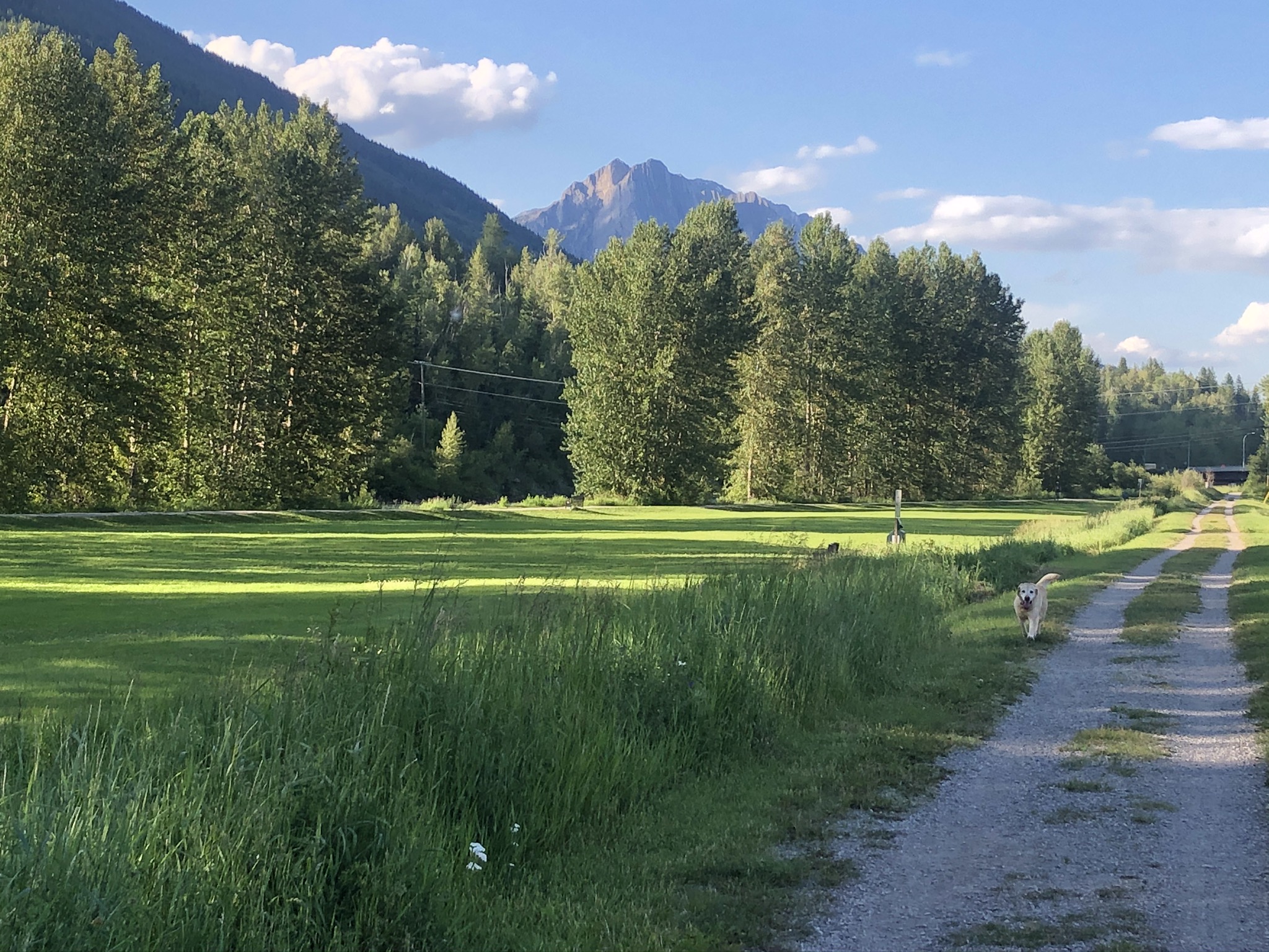 Hosmer Mountain in Fernie